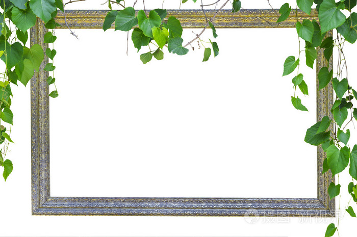 与自然绿色叶相框