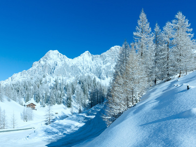 早上冬季高山道