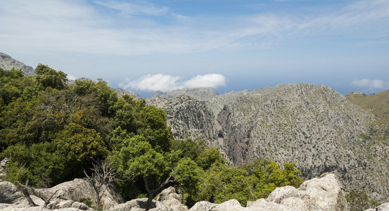 塞拉德 tramuntana