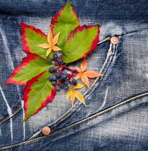 秋天的树叶与葡萄的牛仔裤背景上