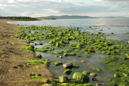 布雷海滩爱尔兰