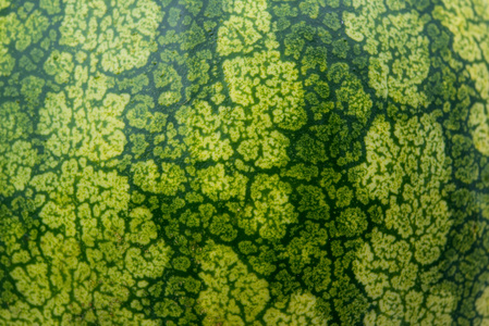 瓜皮_瓜皮素材图片_瓜皮图片素材下载_摄图新视界xsj.699pic.com