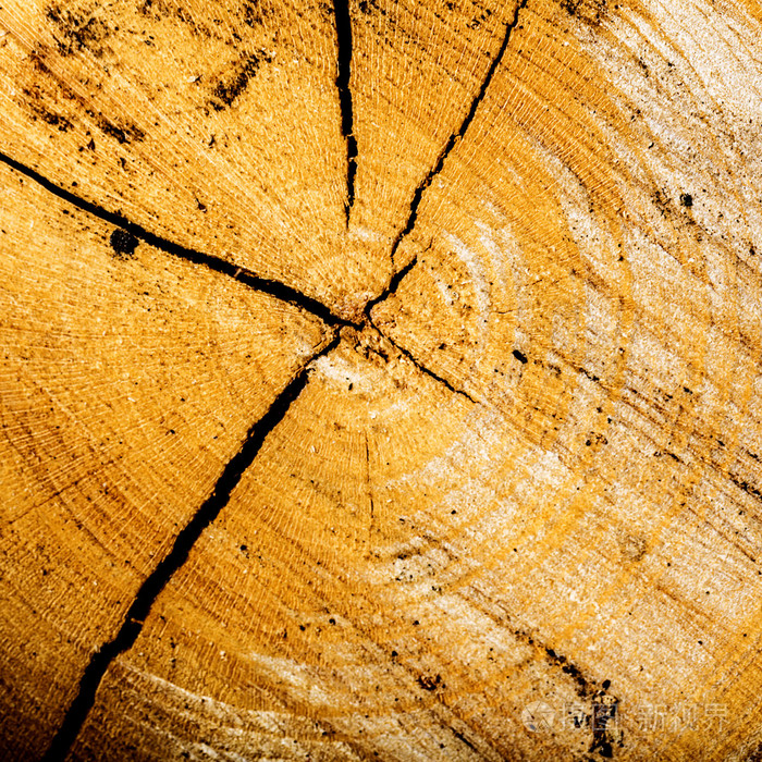 树结构结木板模式旧木纹纹理硬木年环材料板
