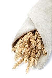 小麦在画布上的耳朵。在白色背景上孤立