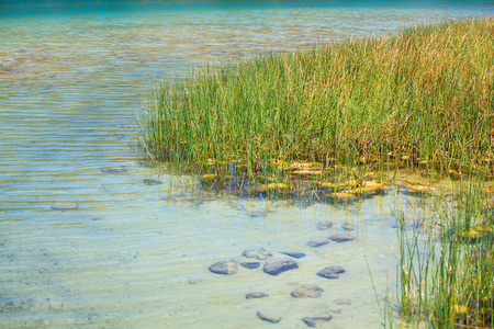 灯心，潘泰莱里亚 lago di venere