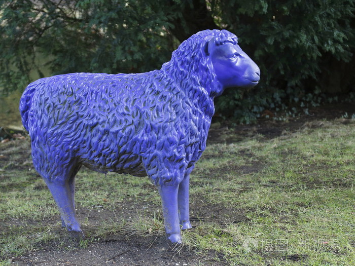 蓝羊
