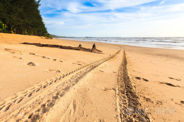 在金色沙滩上的踪迹