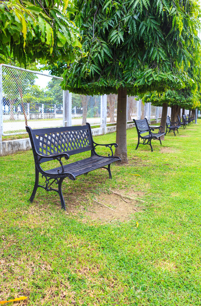 黑色椅子下在公园中的树