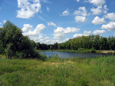 夏日风景 在公园里的池塘