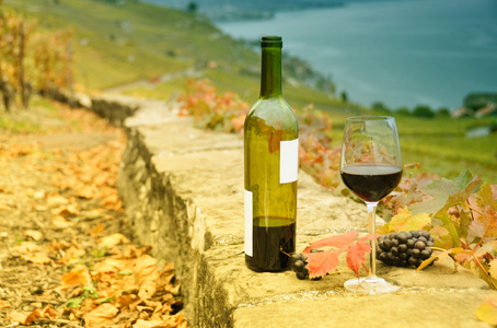 杯红葡萄酒对瑞士熔丝地区露台葡萄园