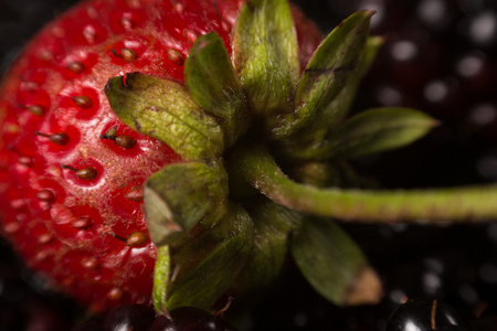 野莓和草莓的集合