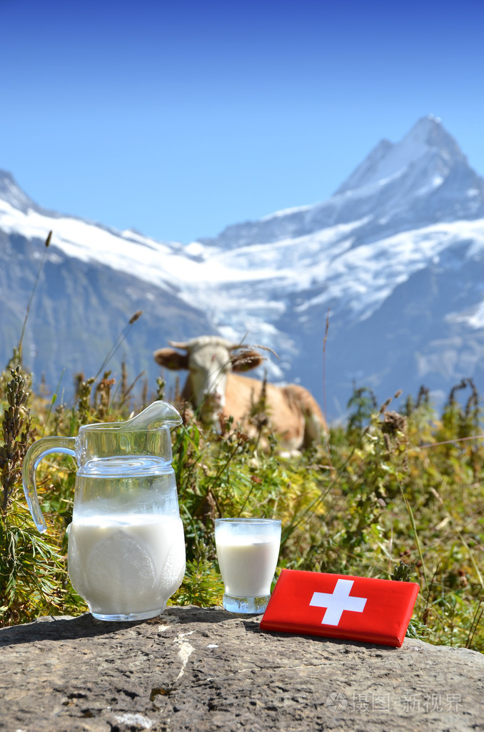 瑞士巧克力和牛奶在高山草甸上水罐瑞士
