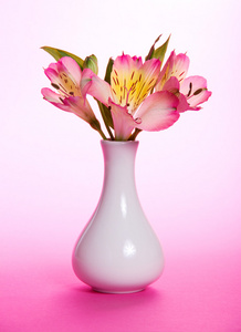 粉红色的背景上的花瓶里的玫瑰花束