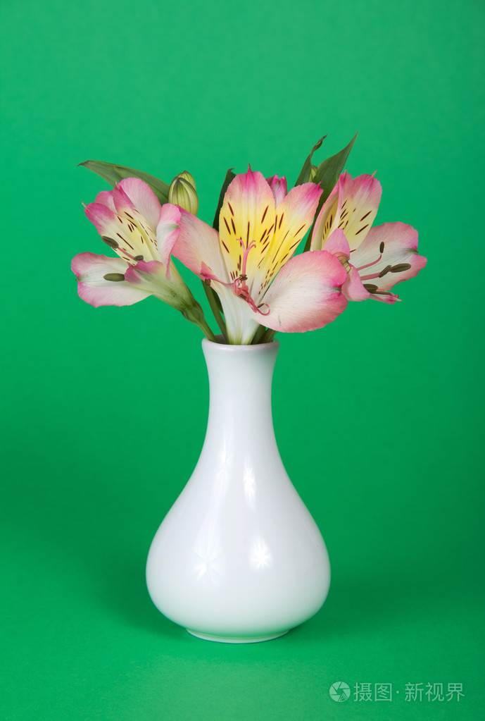 绿色背景上的花瓶里的玫瑰花束