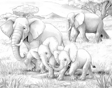 safari大象着色页插图的儿童
