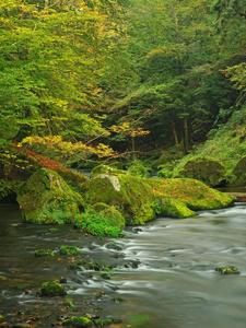 查看到山中的小溪中砂岩西部片和绿枝金合欢 山毛榉和橡树的下面。水位使绿色思考。在山区河流夏天的结束