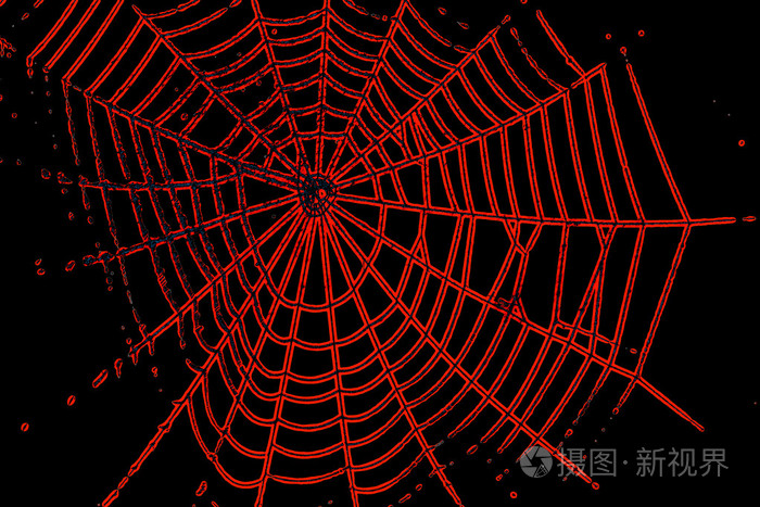 蜘蛛web 模式的万圣节橙颜色