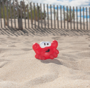 快乐螃蟹在海滩上图片