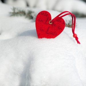 红色的心玩具在杉木树上的雪