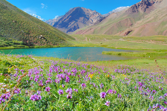 horcones 湖在阿空加瓜谷