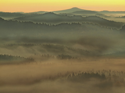 在美丽的山的捷克萨克森瑞士的日出。砂岩峰林雾从雾背景增加，是由于太阳光的橙色