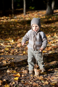 在秋天的森林中的小男孩