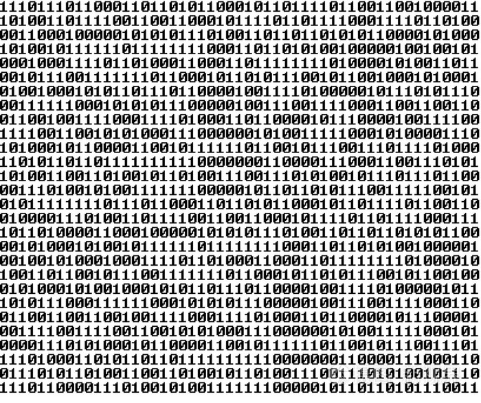 数值的二进制序列