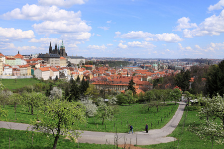 查看关于春天的绿色自然与开花树木，捷克共和国布拉格哥特式城堡