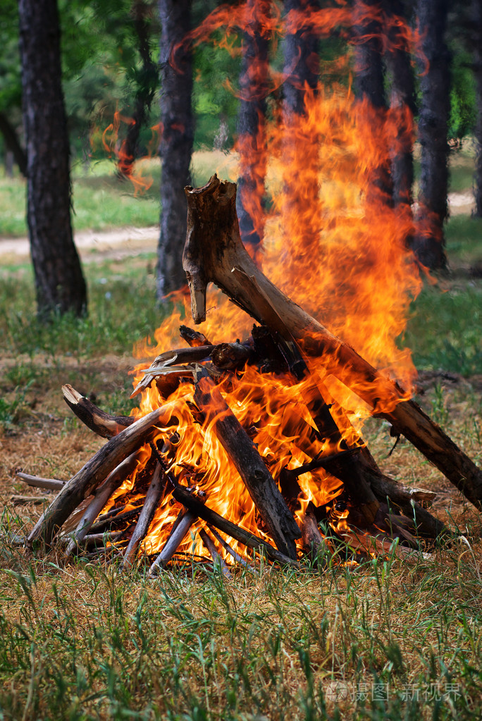 在森林里的篝火