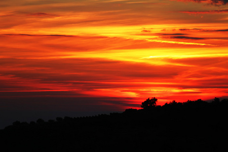 对太阳光在天空背景在夕阳中树图片