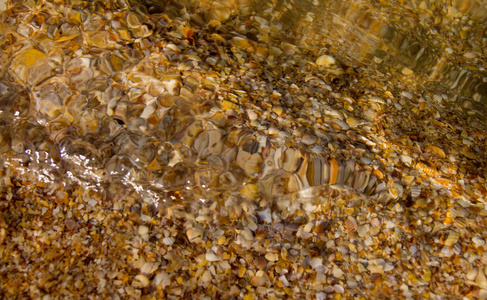 鹅卵石 珊瑚和沙在水之下