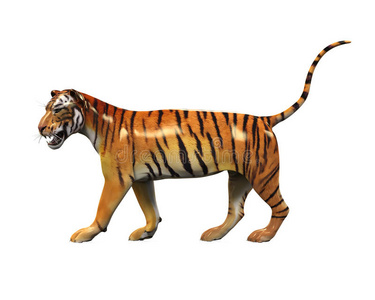 动物 野兽 哺乳动物 雕塑 猫科动物 食肉动物 危险的 丛林