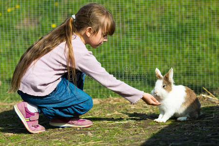 喂兔子的女孩