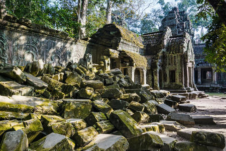 柬埔寨塔普罗姆寺