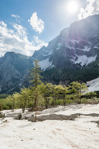 高山峡谷森林