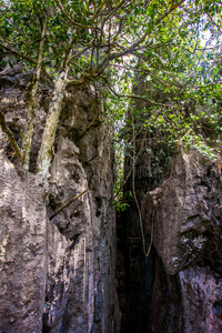 山间峡谷。在岛上