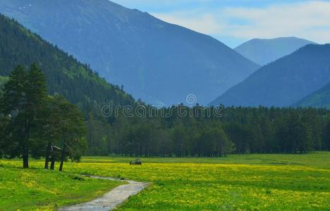 山间草地