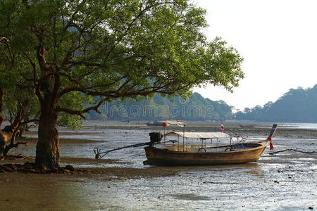 泰国树和木船