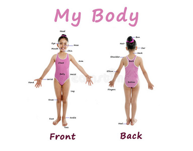 穿着粉红色泳衣的女孩在白色背景上为身体图表指南