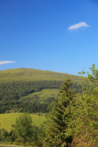 自然。夏季森林山地景观