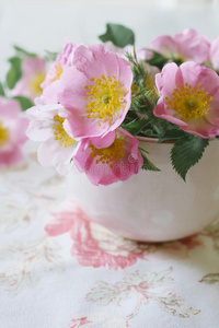粉红色温柔的花朵杯