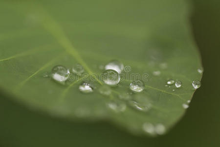 雨滴