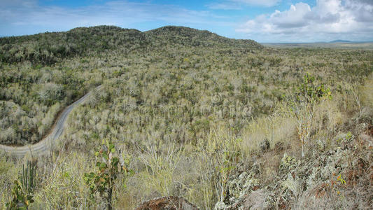 cerro orchilla全景