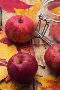 成熟的甜苹果秋收图片
