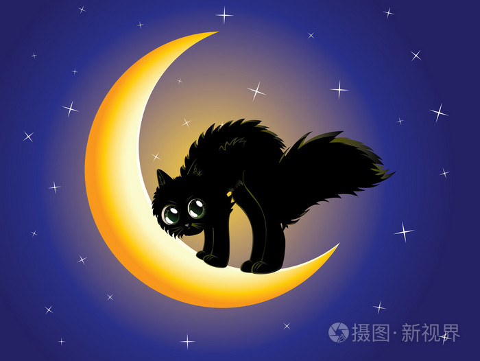 月球上的黑猫