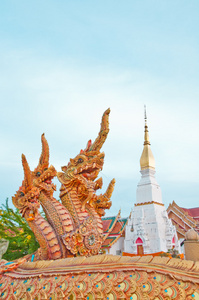 喷泉那伽在泰国样式在 wat phra thad 郑铨