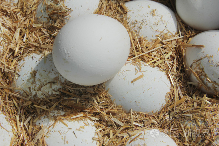 新鲜农场鸡蛋在干草关闭