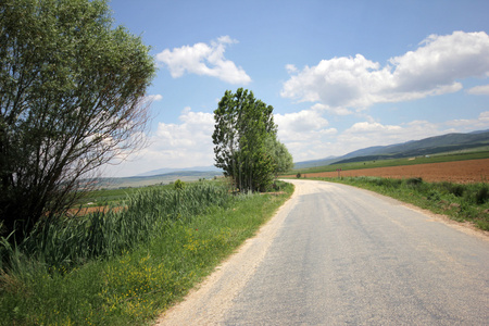 道路