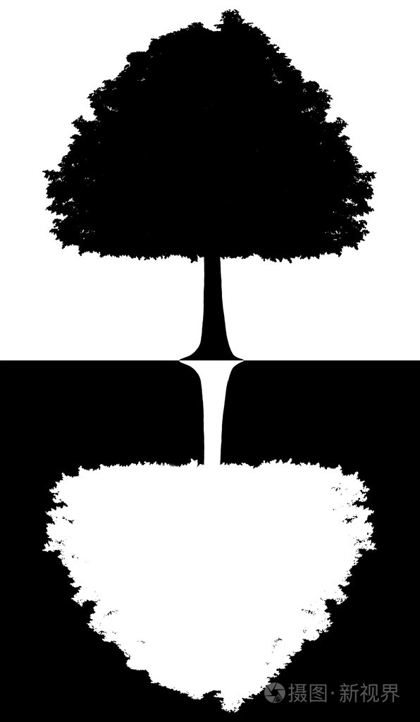 黑色和白色的孤立白色黑色背景上的一棵树的轮廓