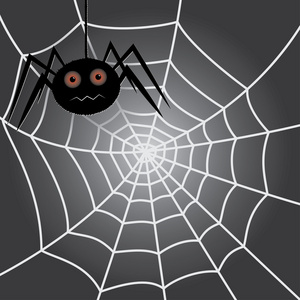 蛛网的蜘蛛